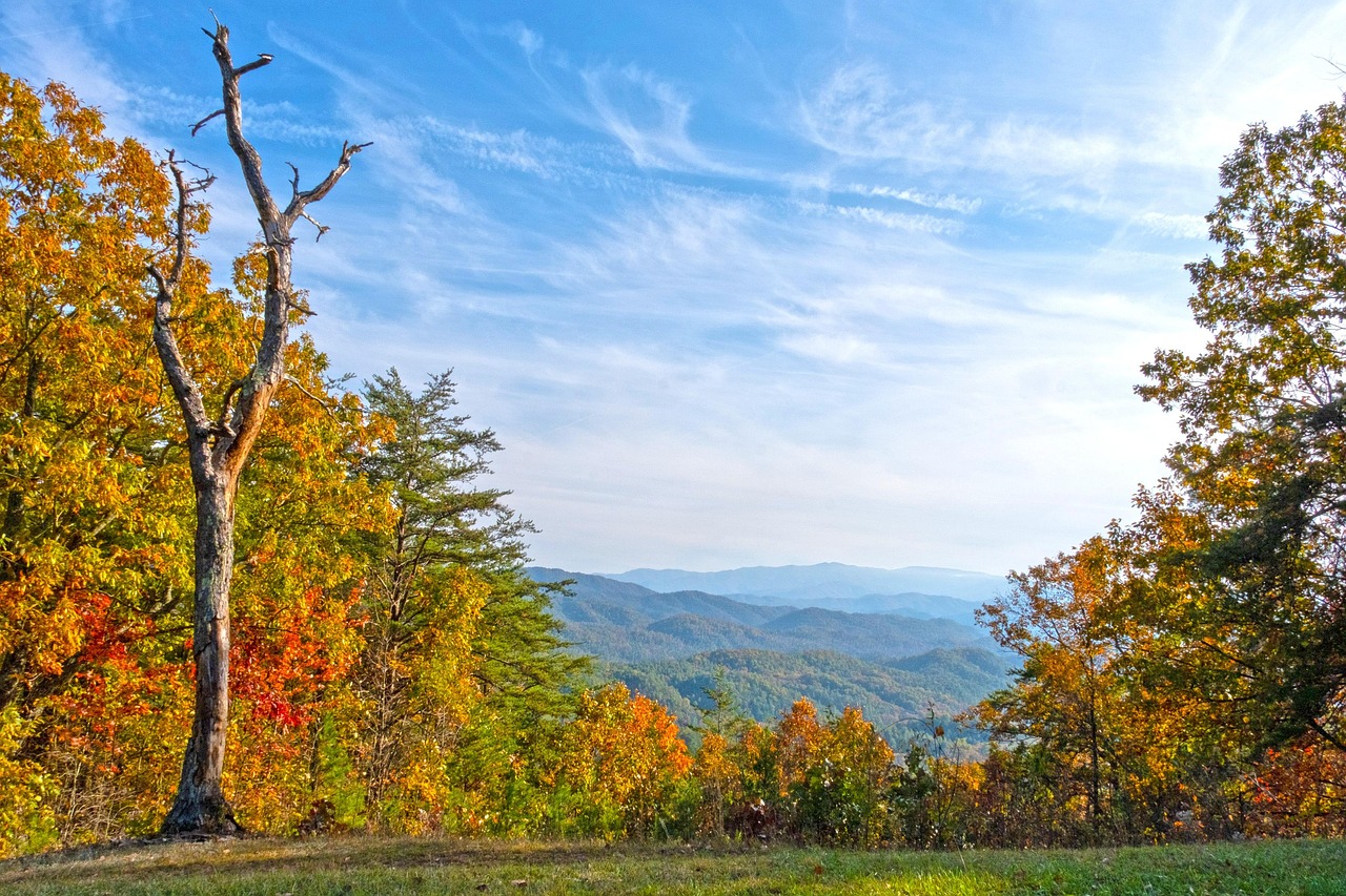 tennessee, mountains, fall, landscape, nature, appalachian, trees, sky, tourism, clouds, smokey, outdoors, wilderness, woods, country, scenic, smokies, forest, tennessee, tennessee, tennessee, tennessee, tennessee, appalachian