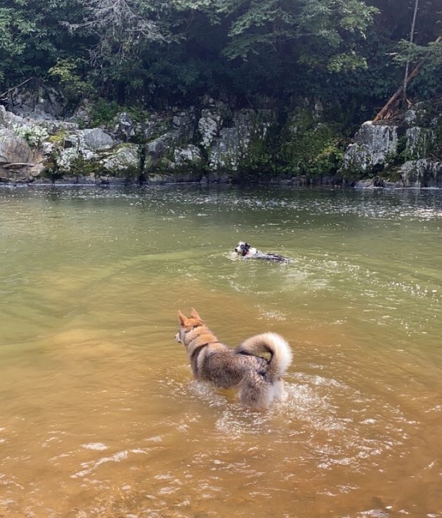 58B1FA31-1E86-4305-994B-BE2612CB0F19_1_105_c