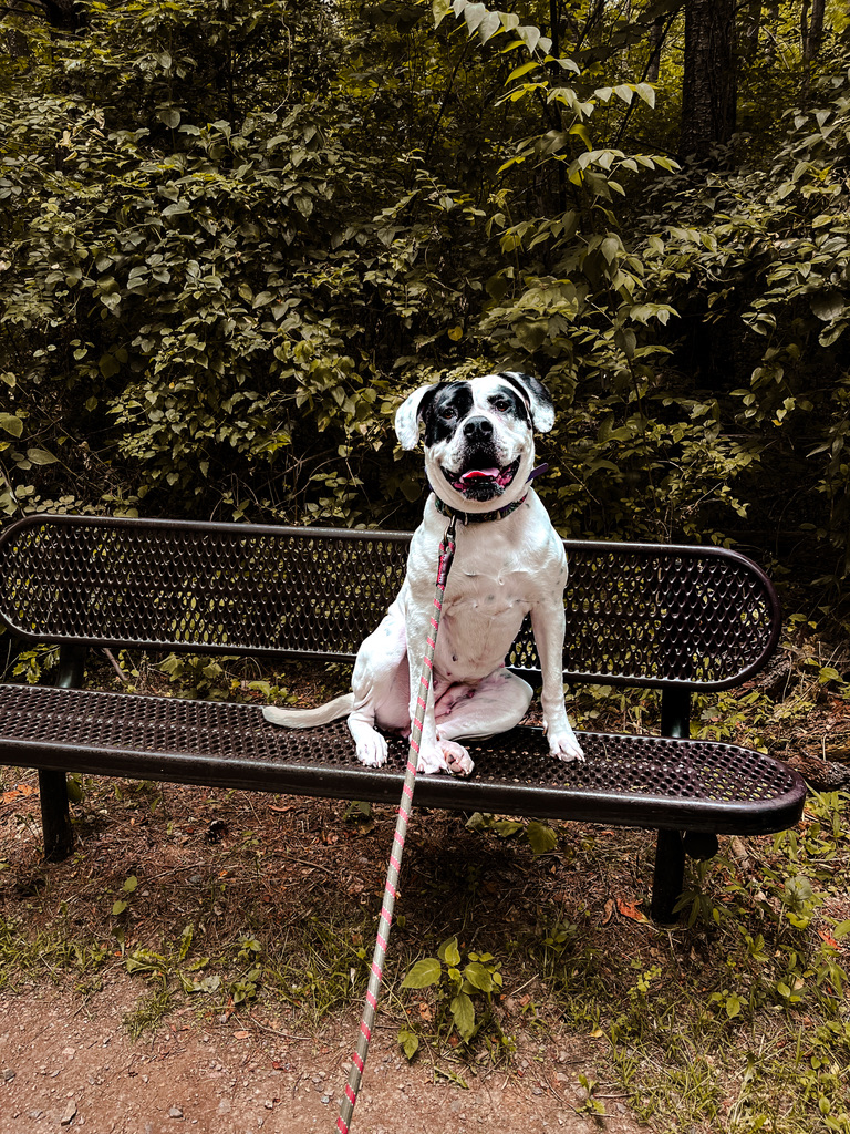 098E8AB5-9FC3-46E2-9D99-0845A691604F_1_105_c