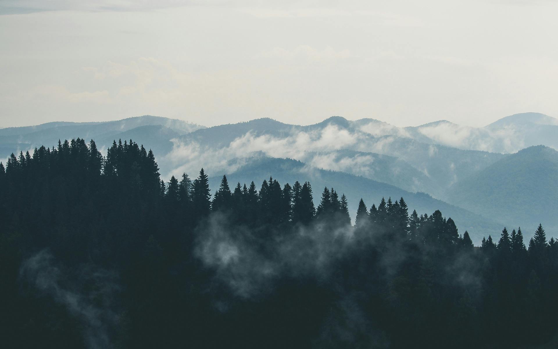 Mountains, clouds, forest, fog