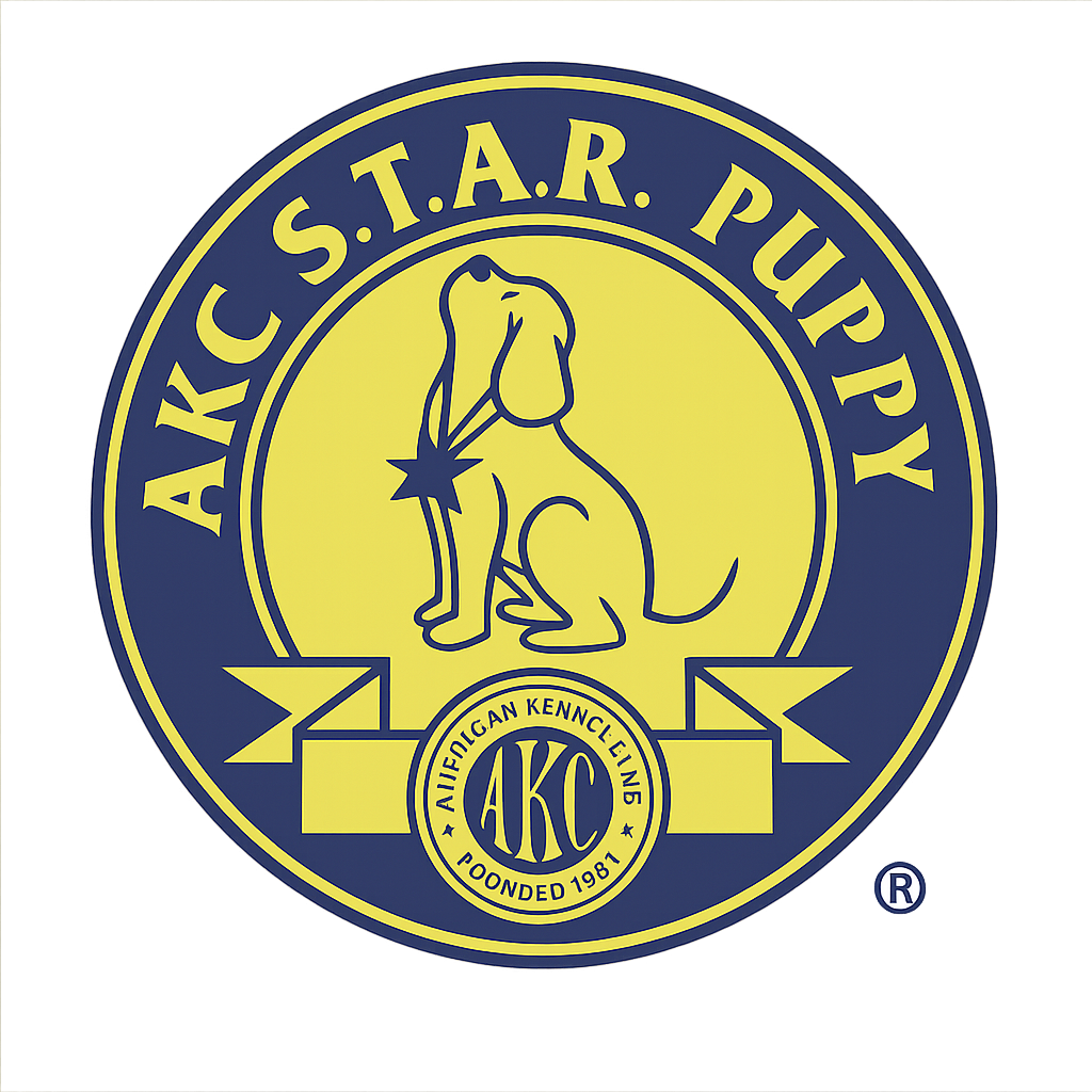 AKC STAR Puppy