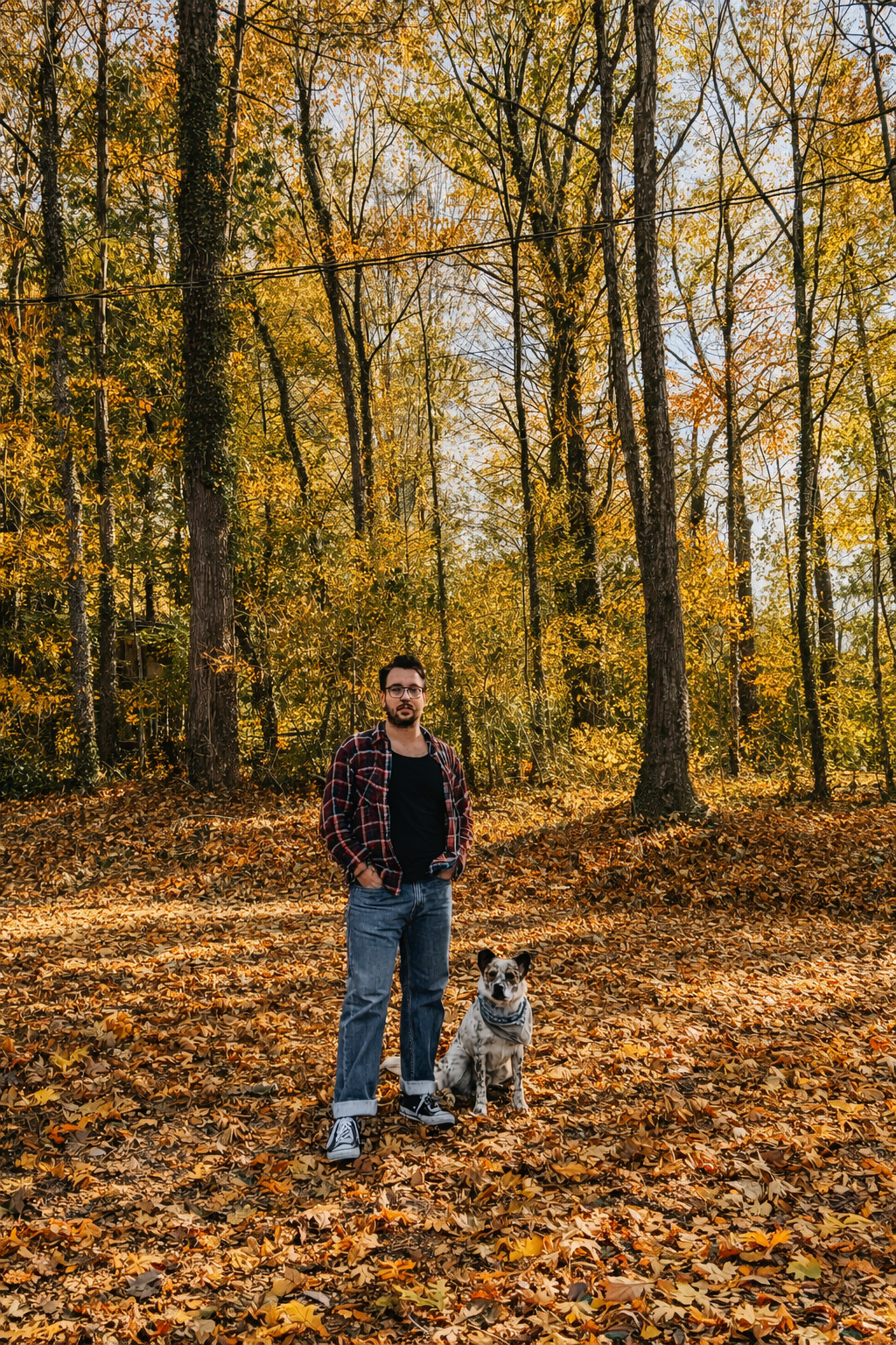 The Canine Nexus branding