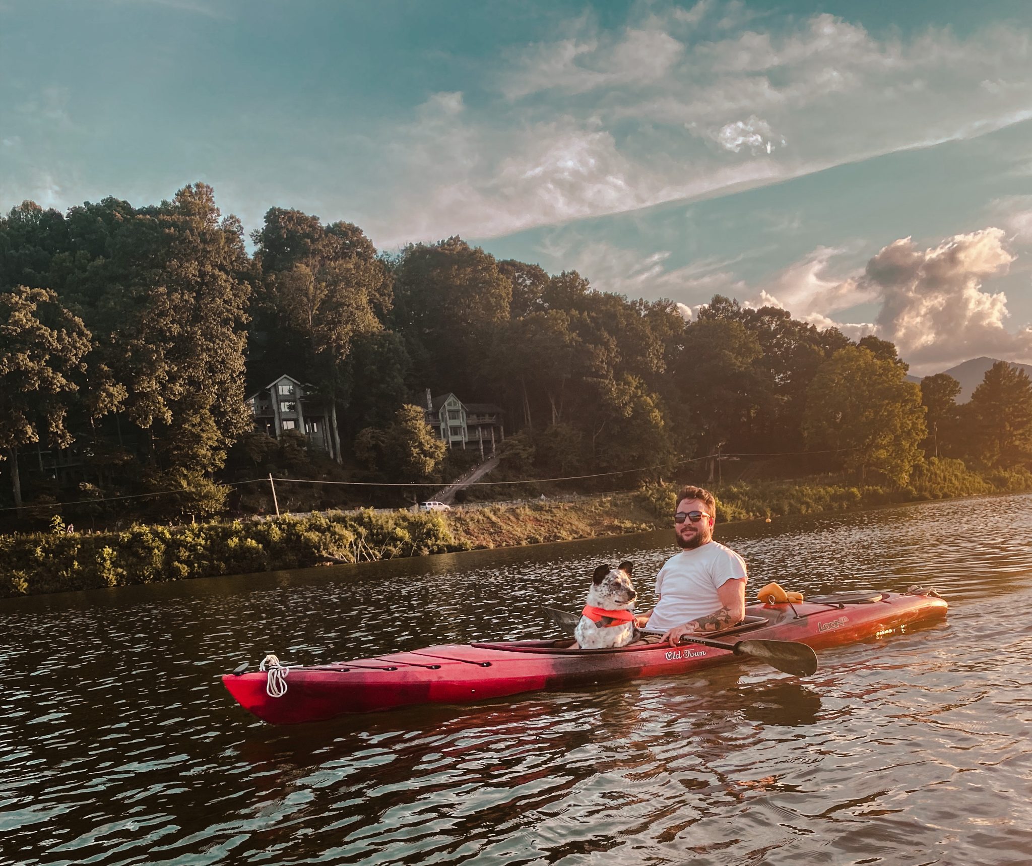 Real-world dog training with The Canine Nexus in Western North Carolina