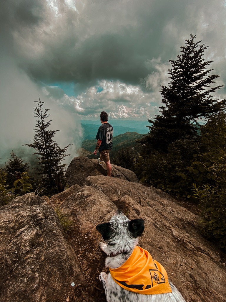 Dog training outdoors