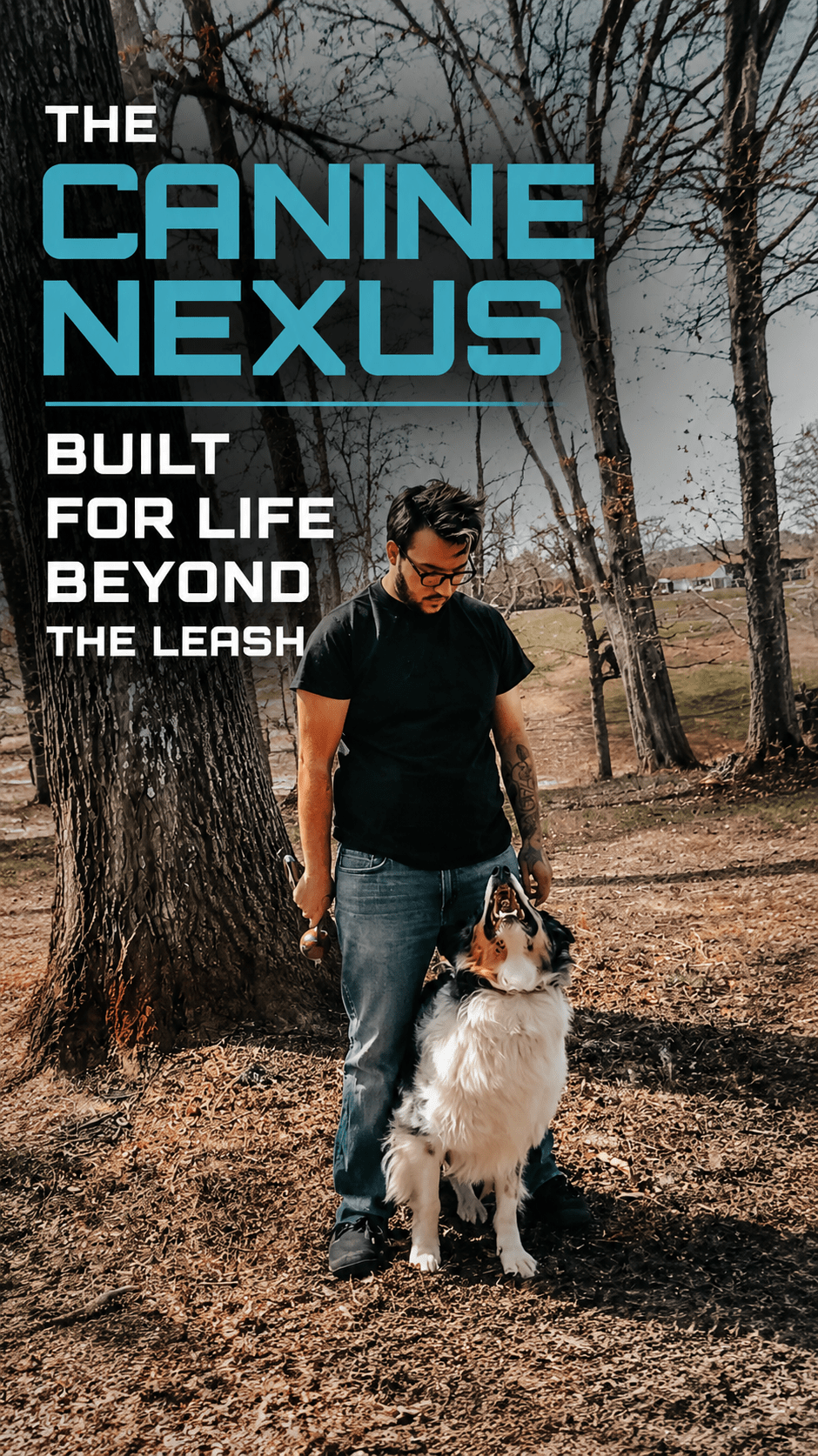 The Canine Nexus dog training