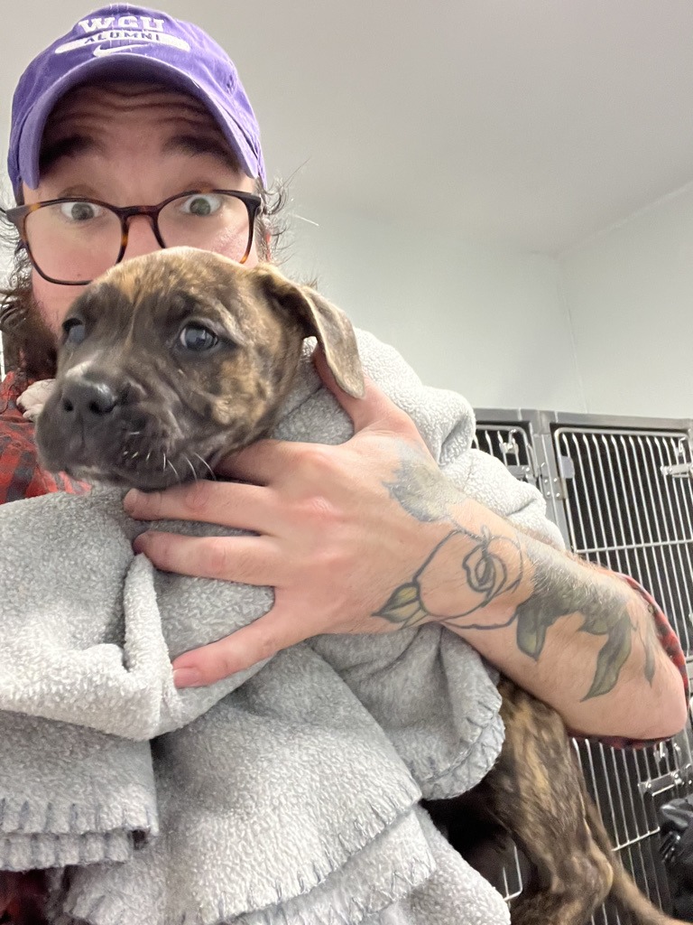 Shelter dog receiving supportive training and enrichment