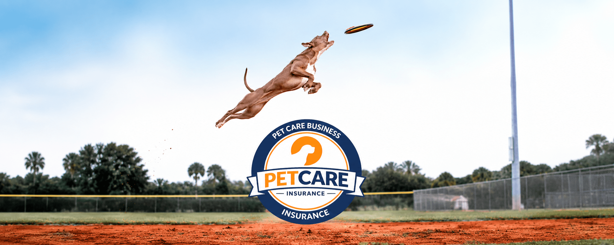 The Canine Nexus professionally insured
